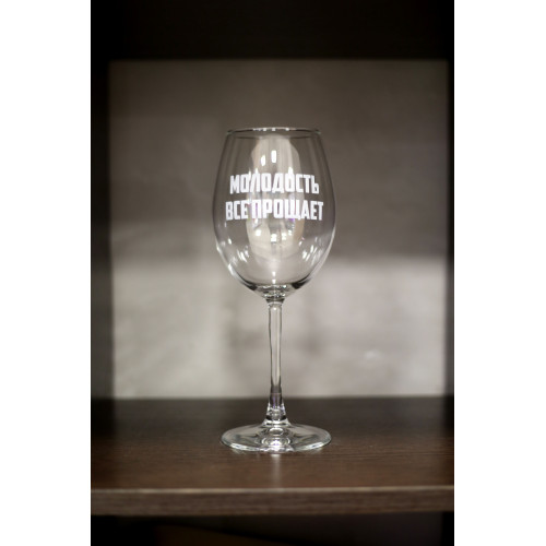 Бокал винный "Молодость все прощает"