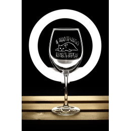 Бокал винный "Вся жесть впереди"