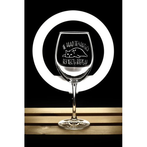Бокал винный "Вся жесть впереди"